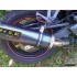 AUSPUFF SCHALLDÄMPFER SPORTAUSPUFF ABE MSR MOTORRAD HONDA CBR 125 2004/06 BLOT-ON